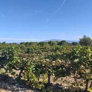  Vakantiehuis Gite Dans Les Pins Avec Piscine Frankrijk
